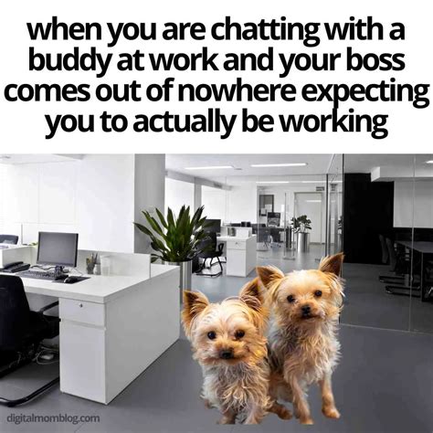 rtvuve|Boss texted me today asking if I know what time a coworker left..
